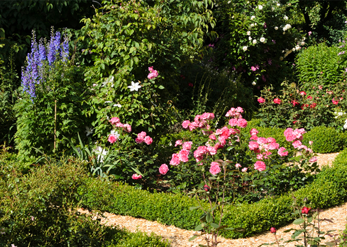 ROSEN & IHRE BEGLEITER! ROSEN & IHRE BEGLEITER!