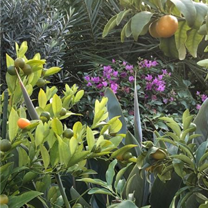 üBERWINTERN IM PARADIES