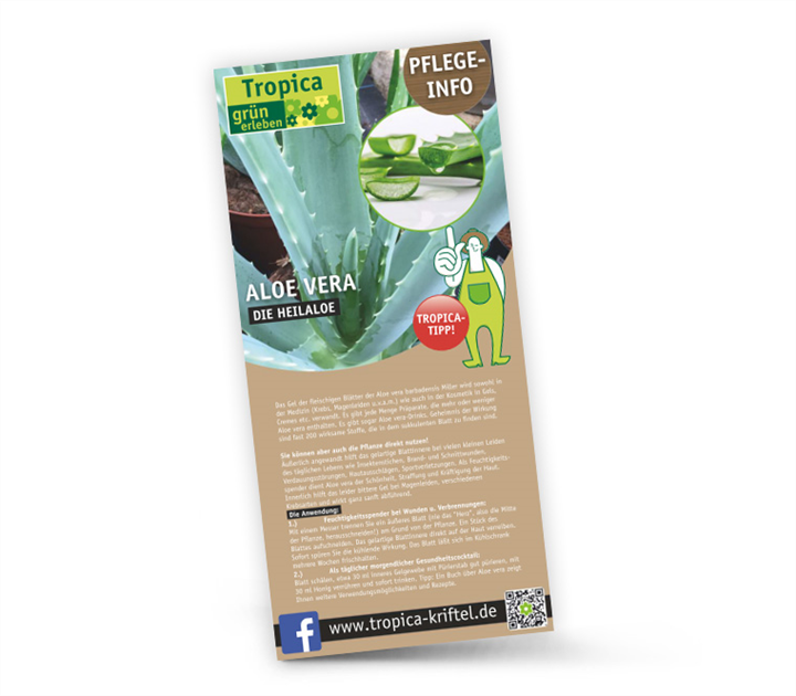 Aloe vera - Die Apotheke aus der Natur