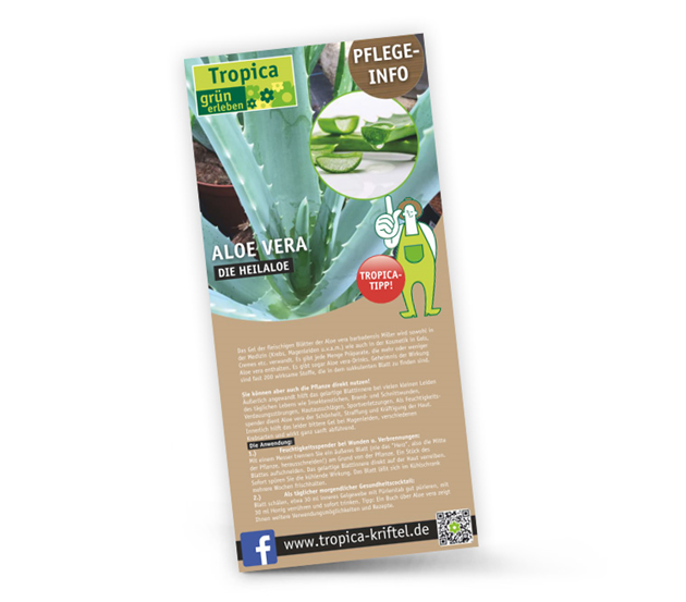 vorschau-aloevera.jpg