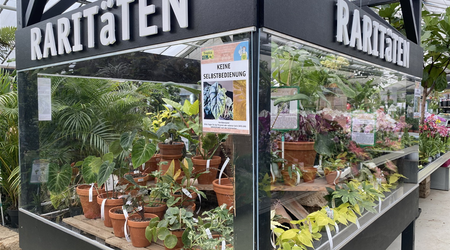 Raritäten Greenhouse 05.JPG