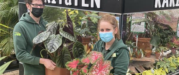 Urban Jungle & Tropica in der ARD