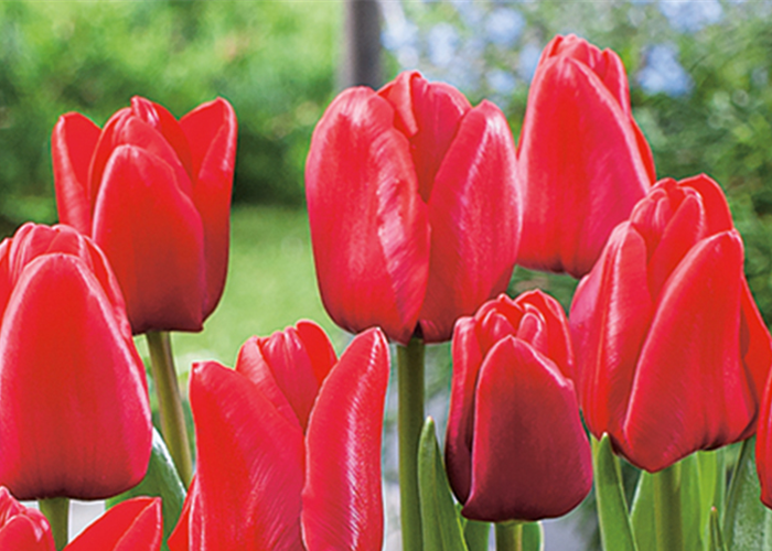 VORSORGEN MIT VORFREUDE.  VORSORGEN MIT VORFREUDE.