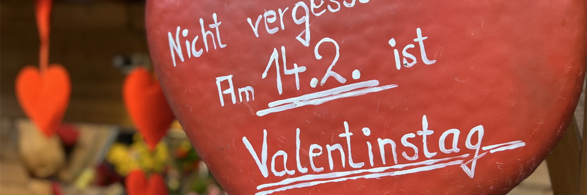 Valentin im Topf 14