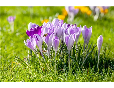 BUNTES OSTERFEST MIT FRüHLINGSBOTEN!
