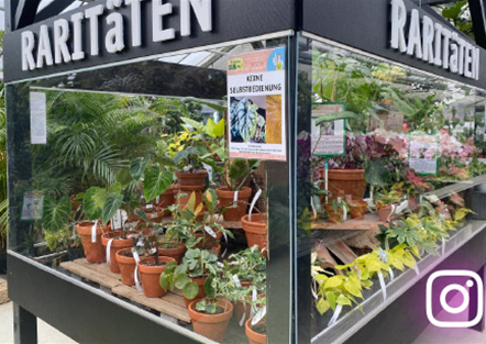 Tropica-Greenhouse: Auf Instagram folgen Tropica-Greenhouse: Auf Instagram folgen