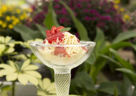Eiscreme to love