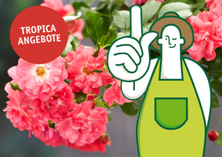 Top-Angebote!