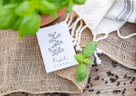 Alles für die Aussaat