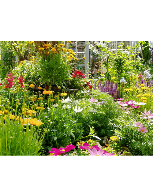 So geht...Garten im Klimawandel (24.06. 11Uhr)