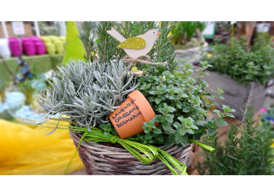 So geht...Kräuter Tasting (06.05. 15Uhr)