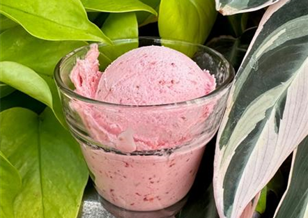 Eiscreme to love