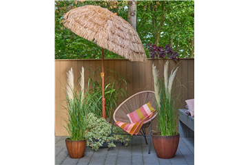 IM SOMMERGARTEN!