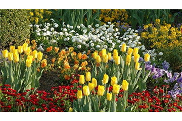 Eine Tüte voll Frühling Eine Tüte voll Frühling